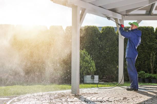 Best Window and Screen Pressure Cleaning in Scotts Hill, TN